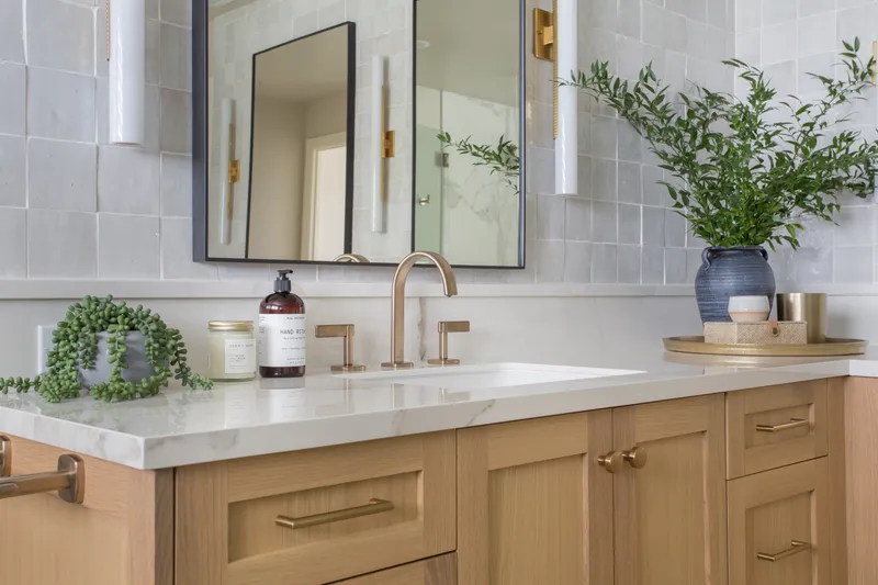 Bathroom Remodel — interior and exterior detail