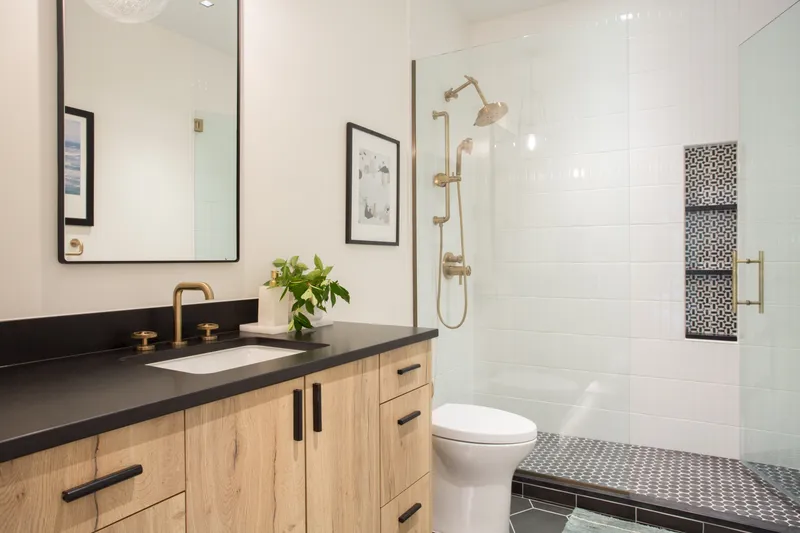 Whole House Remodel — interior and exterior detail