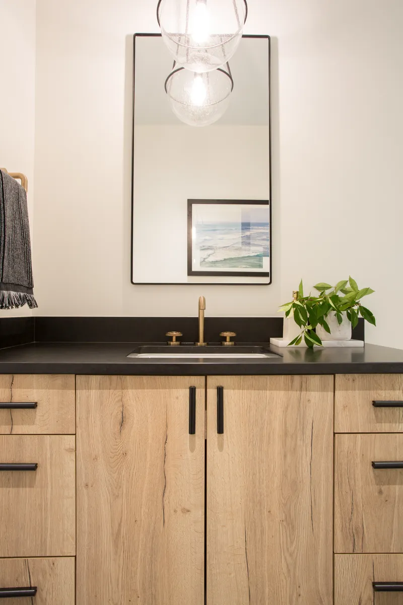 Whole House Remodel — interior and exterior detail