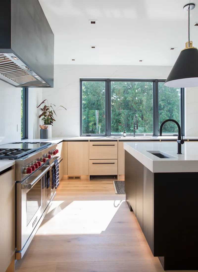 Whole House Remodel — interior and exterior detail