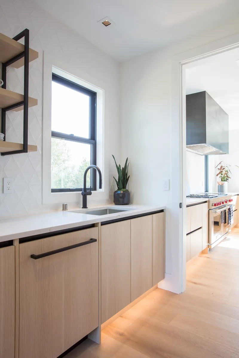 Whole House Remodel — interior and exterior detail