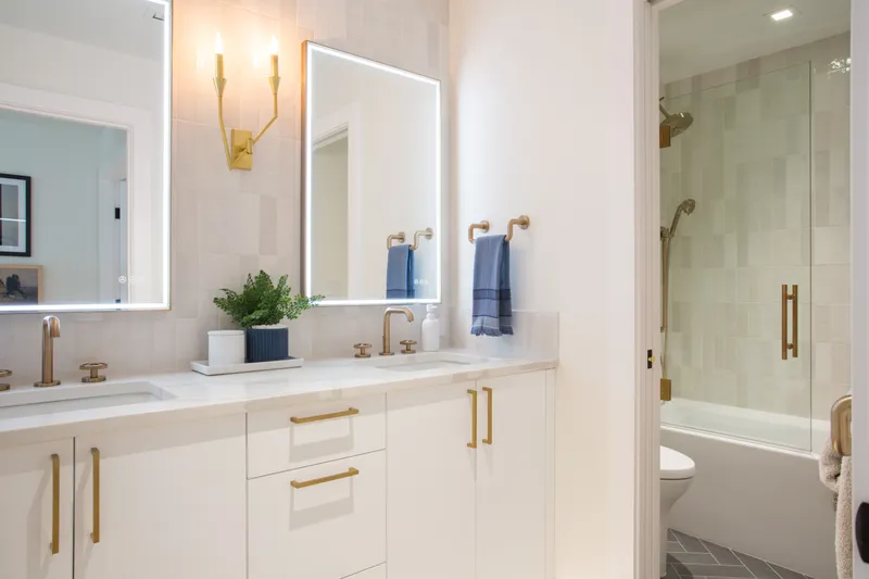 Whole House Remodel — interior and exterior detail