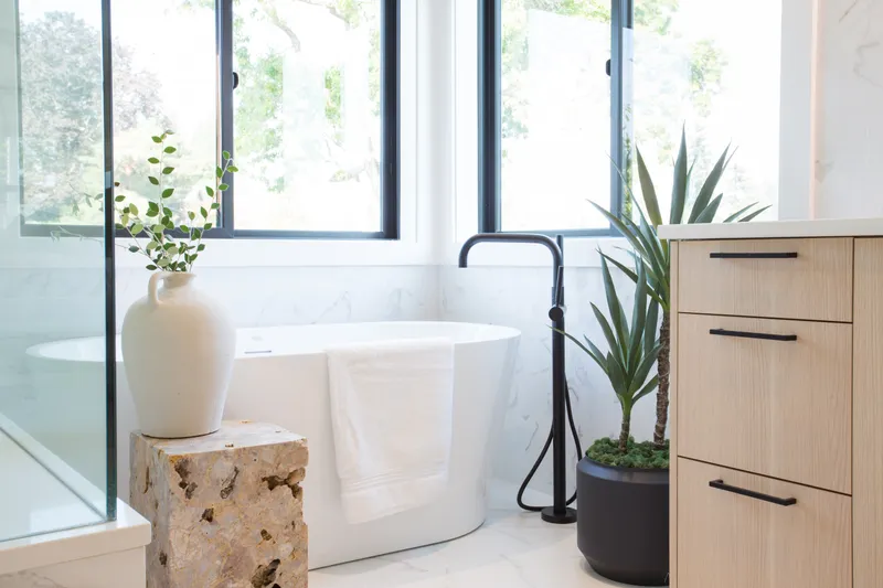Whole House Remodel — interior and exterior detail